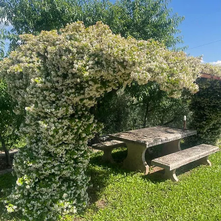 Casa de Férias La Palombara