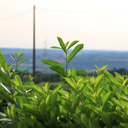 Holiday home La Palombara Montecchio (Terni)