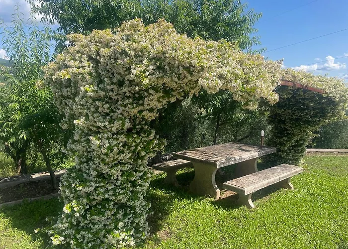 Casa de Férias La Palombara