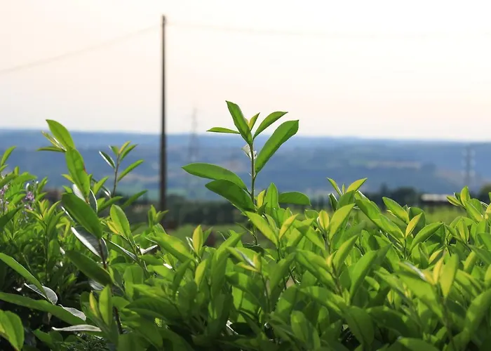 Holiday home La Palombara Montecchio (Terni)